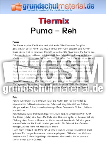 Puma - Reh.pdf